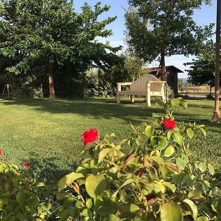 Country House Podere Le Rane Felici Fauglia Exterior foto